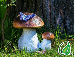 САДОВЫЕ ФИГУРЫ ГРИБЫ и ГРИБОЧКИ