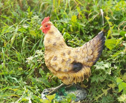 Садовая фигура Курица на камушке, 30х33 см.