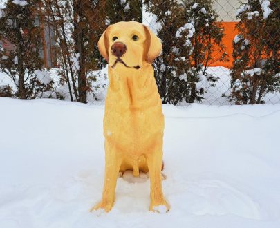 Садовая фигура собака Лабрадор, 65х54 см.