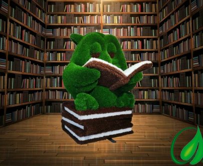 Топиарная фигура Сова на книгах, 160х100х60 см.