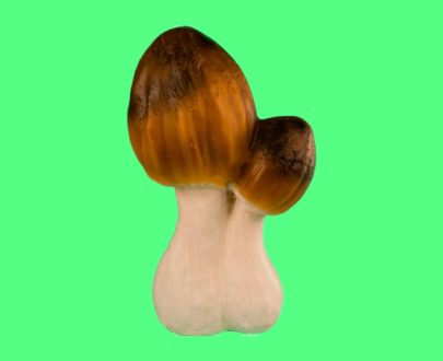 Садовая фигура Два сморчка, 34х24 см.