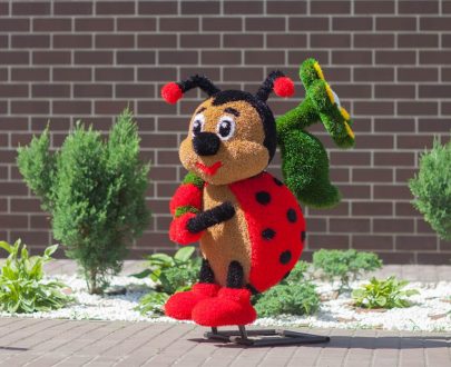 Топиари божья коровка 105х55х85 см