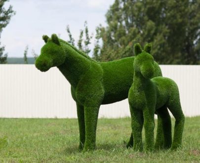 Топиари лошадь и жеребёнок, 195x255x75 см.