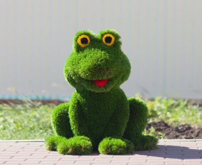Топиарная фигура лягушка, 80x70x60 см