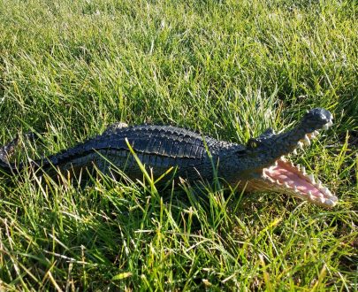 Садовая фигура Крокодил маленький, 15х40 см.