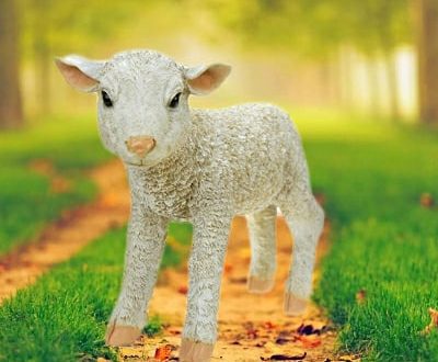 Садовая фигура ягненок, 34х50 см.