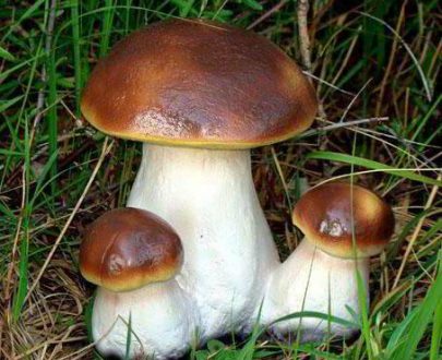 Садовая фигура Три боровика, 21х23 см.