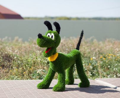 Топиарная фигура Плуто, 100 х 125 см.