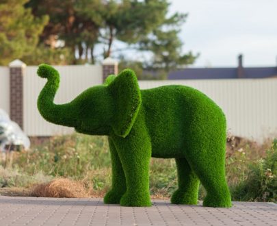 Топиарная фигура Слон малый, 115 х 165 х 90 см.