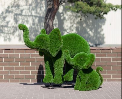 Топиарная фигура Слоны, 115x165x90 см