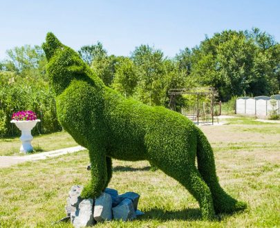 Топиарная фигура волк, 150х150х60 см