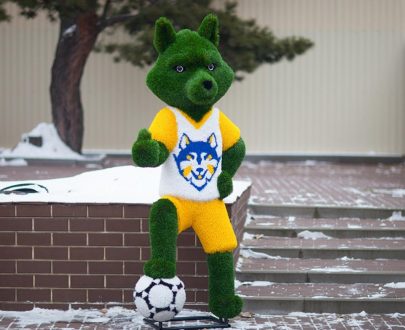 Топиари волк с мячом 200x95x75 см