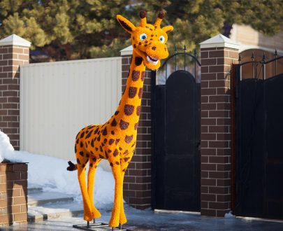 Топиари жираф, 245х150х60 см.