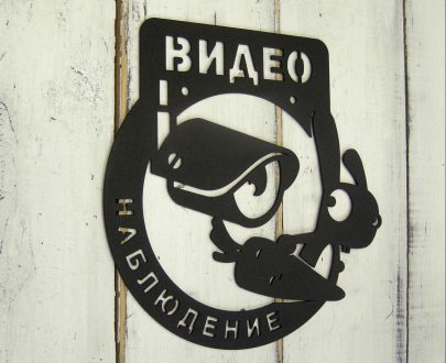 Табличка Видео наблюдение 30х29 см