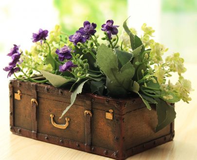 Зоокашпо Чемодан 17х34 см