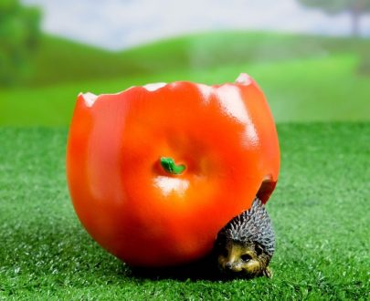 Кашпо Яблоко с еженком