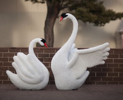 Топиари Лебеди 150x130x80 см