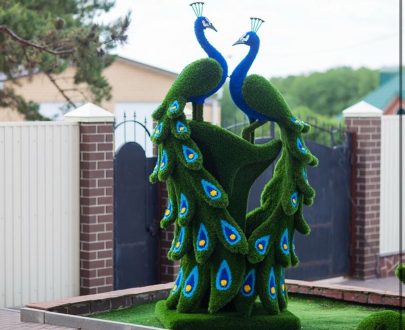 Топиари Павлины 270x125x115 см