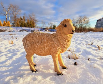 Садовая фигура овечка 48 х 45 см.