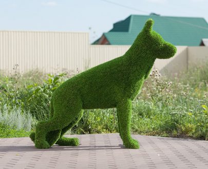 Топиари овчарка 120x130x35 см