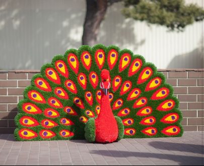 Топиари  Павлин веерный 110x200x70 см