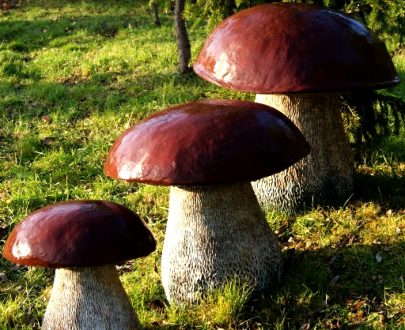 Скульптуры Три Боровика (стеклопластик)