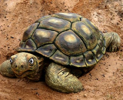 Черепаха большая 30х50х80 см