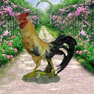 Садовая фигура Петух Испанский, 53 см.