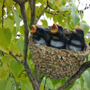 Навесное гнздо с ласточками 20х19 см