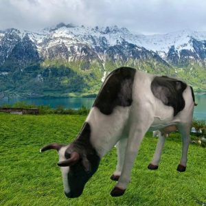 Садовая фигура Корова большая наклонившаяся, 92х130 см.