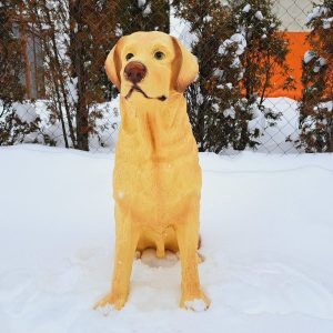 Садовая фигура собака Лабрадор, 65х54 см.