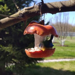 Кормушка для птиц Яблоко с птичкой, 18х18 см.