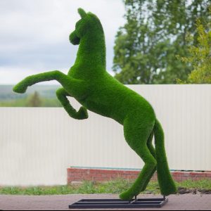 Топиари Конь на дыбах, 300х250х90 см