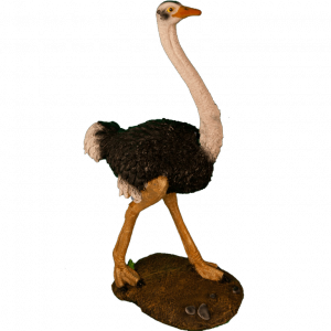 Садовая фигура Страус, 84х52 см.