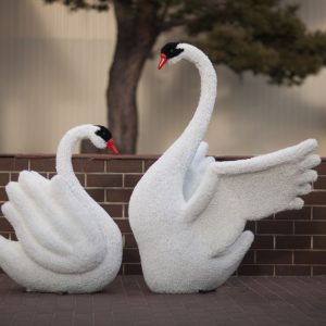 Топиари Лебеди 150x130x80 см
