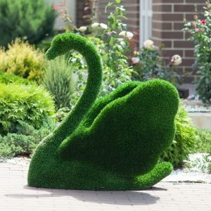 Топиари Лебедь, 110x100x80 см