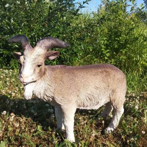 Садовая фигура Козёл рогатый, 48 см.