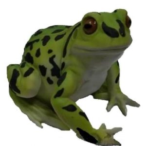 Садовая фигура Лягушка большая пятнистая, 30х23х23 см.