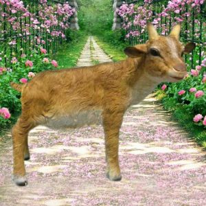 Садовая фигура Козлик, 50 см.