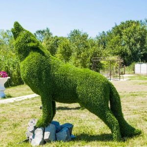 Топиарная фигура волк, 150х150х60 см