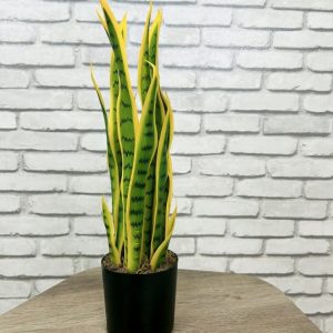 Растение искусственное Сансевиерия Лауренти