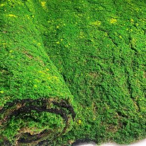 Мох искусственный Дизайн MPA062 GREEN в рулоне