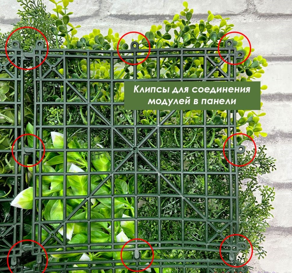 Искусственная фитостена 100х100 см — изображение 5